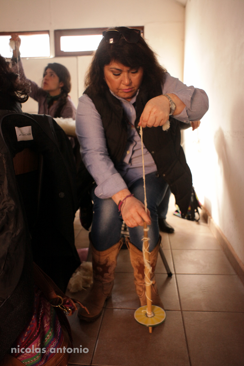 IMG_0500 IMG_0500